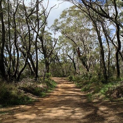 Braeside Trail panoramio 3